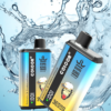 Bang King Vape 30000 Puff Vape Factory Direct Sales - Image 4