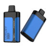 FIZZY Luxury 15000 Puffs Rechargeable Disposable Vape Pen - 15 Flavors, 2% & 5% Nicotine, LCD Screen, Mesh Coil - Image 3