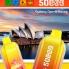 Bang King 50000 Puffs CITY BK5 CT Disposable Vape - 45mL Pre-filled, 650mAh Battery, 12 Flavors - Image 2